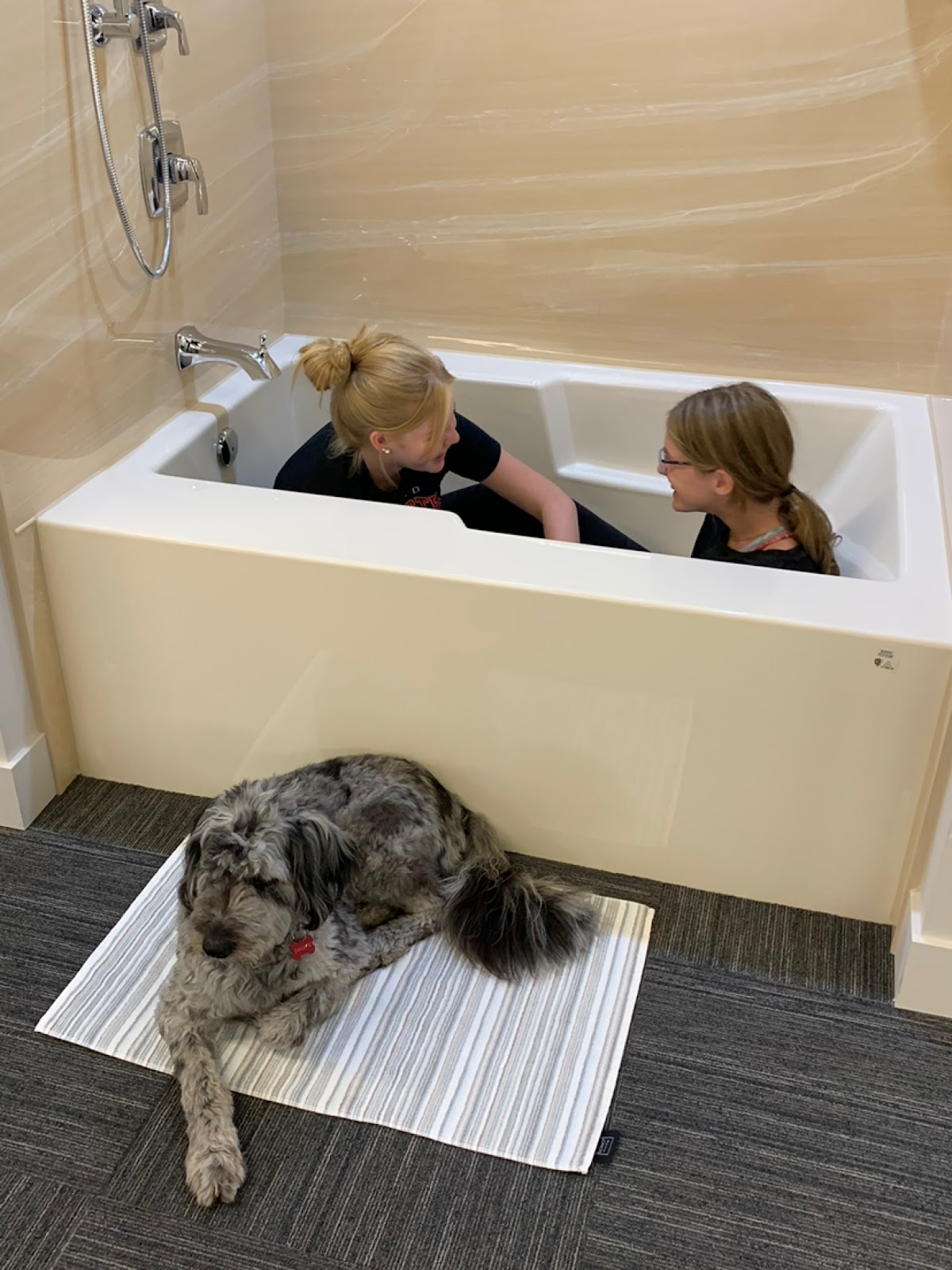 4.7 ⭐ Bath Fitter - London Reviews by Real Customers 2024