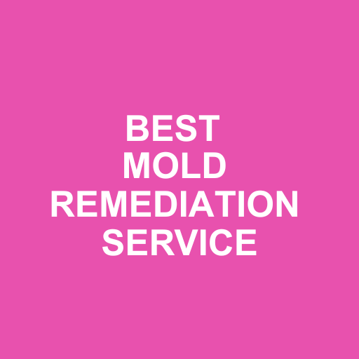 Libertyville Mold Removal Company photo