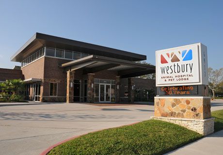 Westbury Animal Hospital reviews