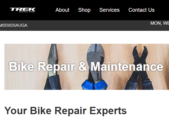 Trek Bicycle Mississauga reviews