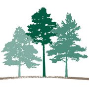 Foss Home & Village reviews