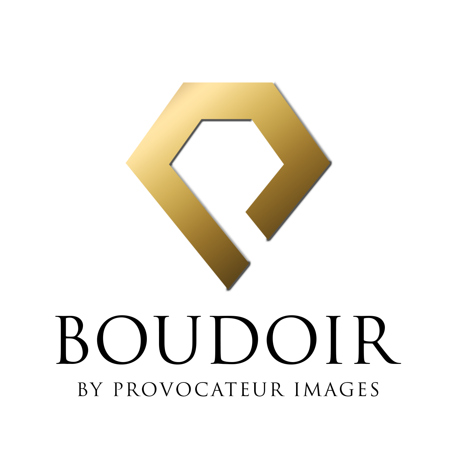 Boudoir By Provocateur Images reviews