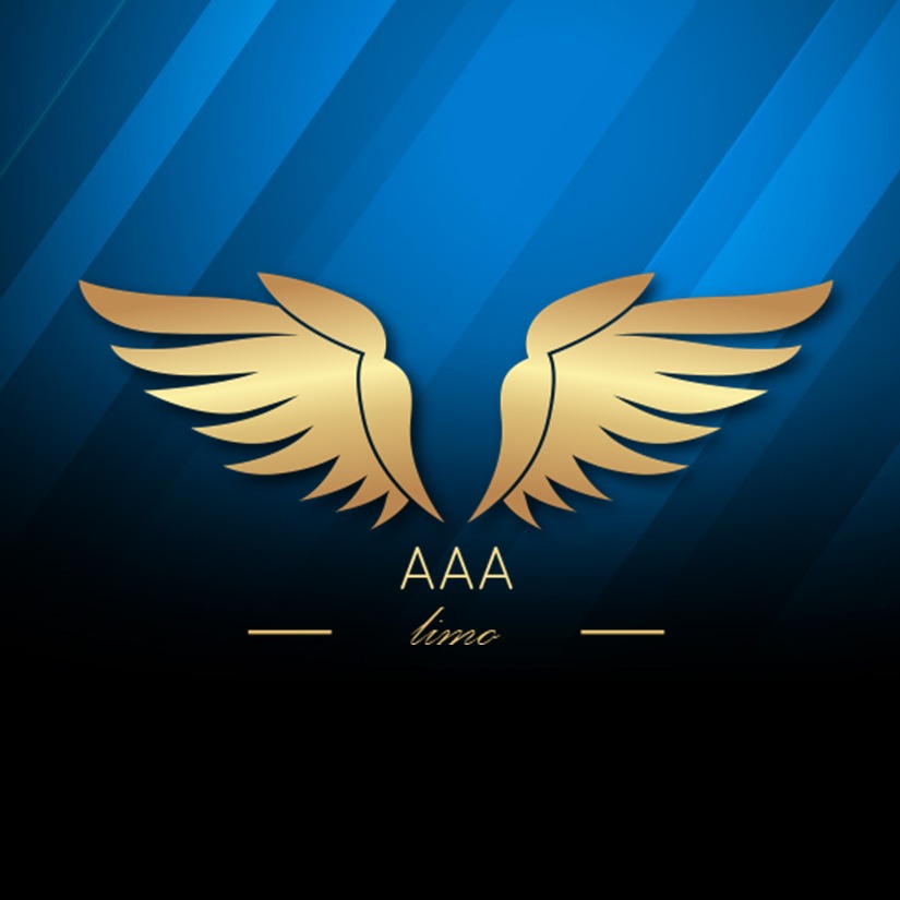 Dallas Limousine and Airport Car Service reviews