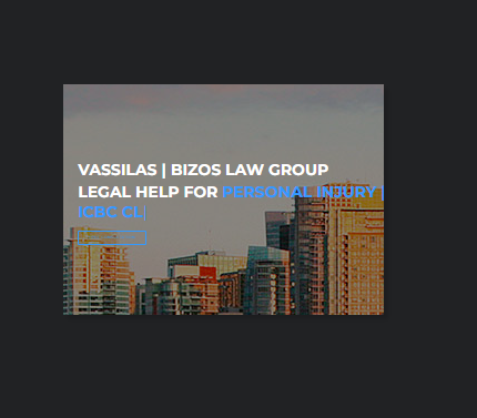 Vassilas | Bizos Law Group reviews