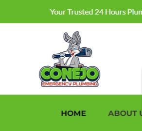 Conejo Emergency Plumbing reviews