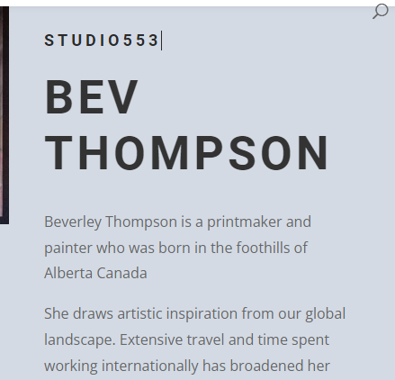 STUDIO 553 - BEV THOMPSON reviews
