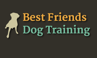 Best Friends Dog Training reviews