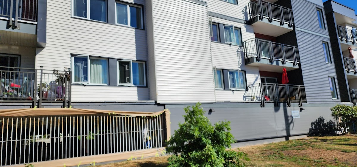 Celestial Painting Ltd Vancouver reviews