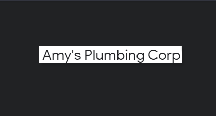 Amy's Plumbing Corp reviews