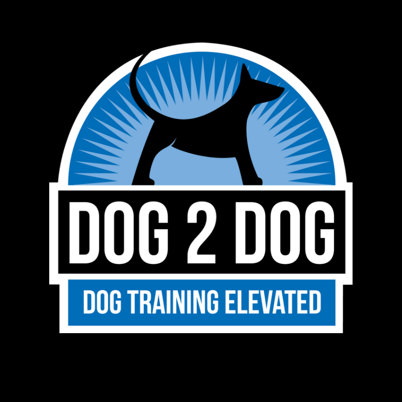 Dog 2 Dog Training reviews