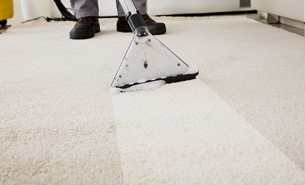 Living Skies Cleaning Services reviews