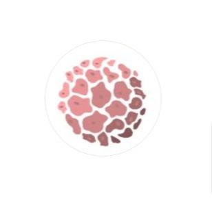 Skin Deep by Angie reviews