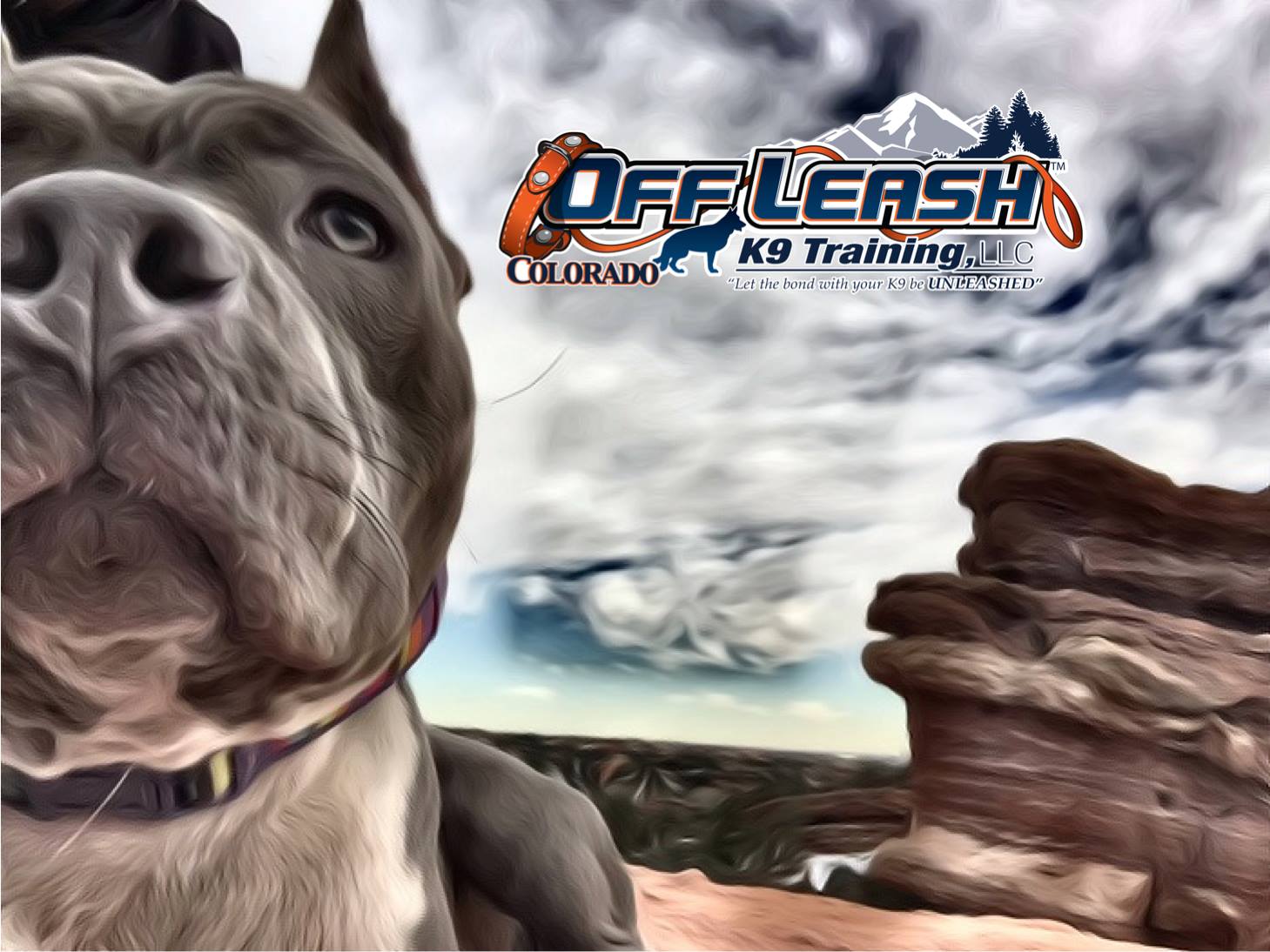 Off-Leash K9 Training reviews