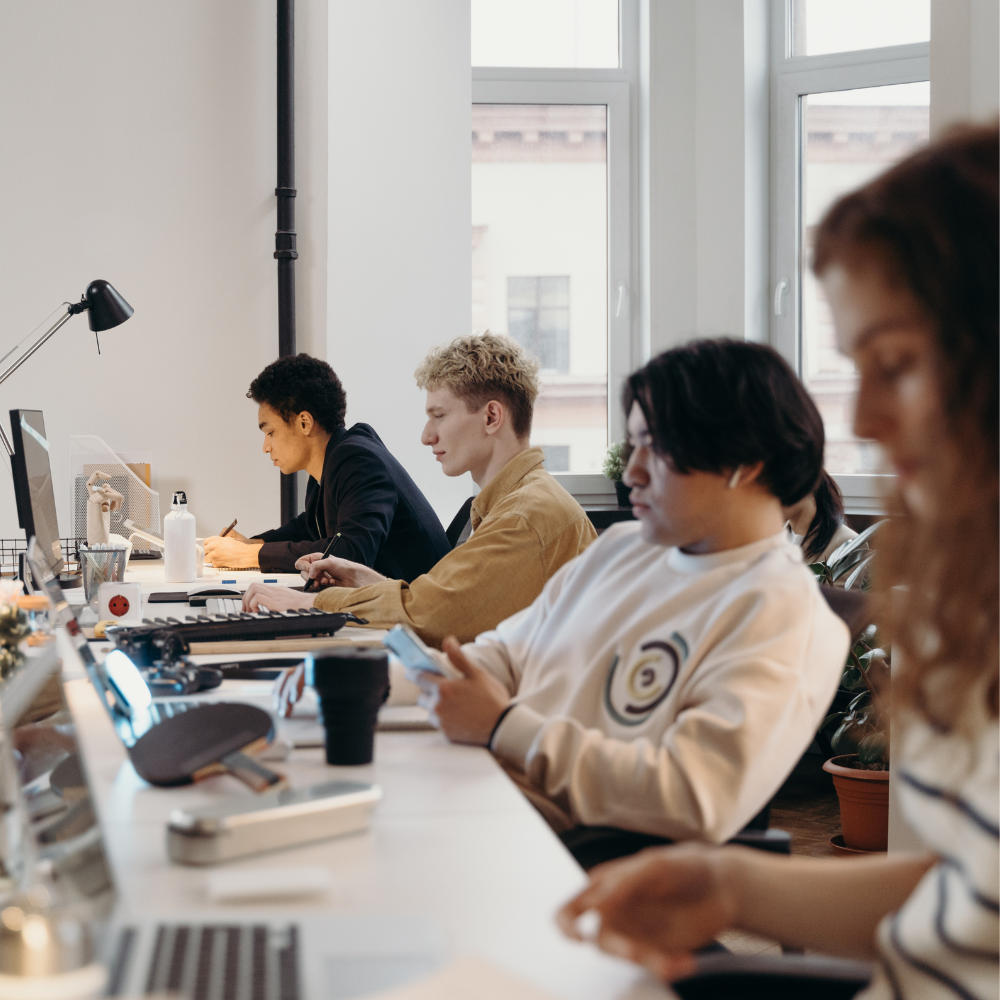 Trena Digital Marketing Agency reviews