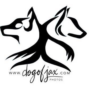 Dog Obedience Group of Jax reviews
