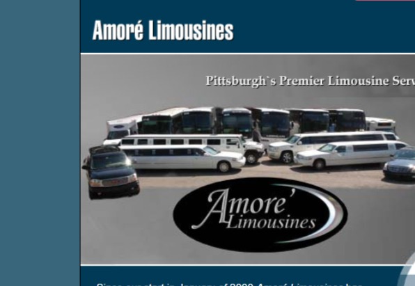 Amore Limousines reviews
