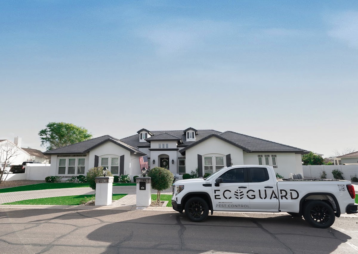 EcoGuard Pest Control photo