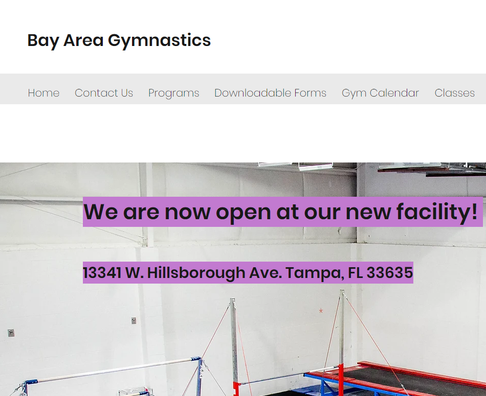 Bay Area Gymnastics reviews