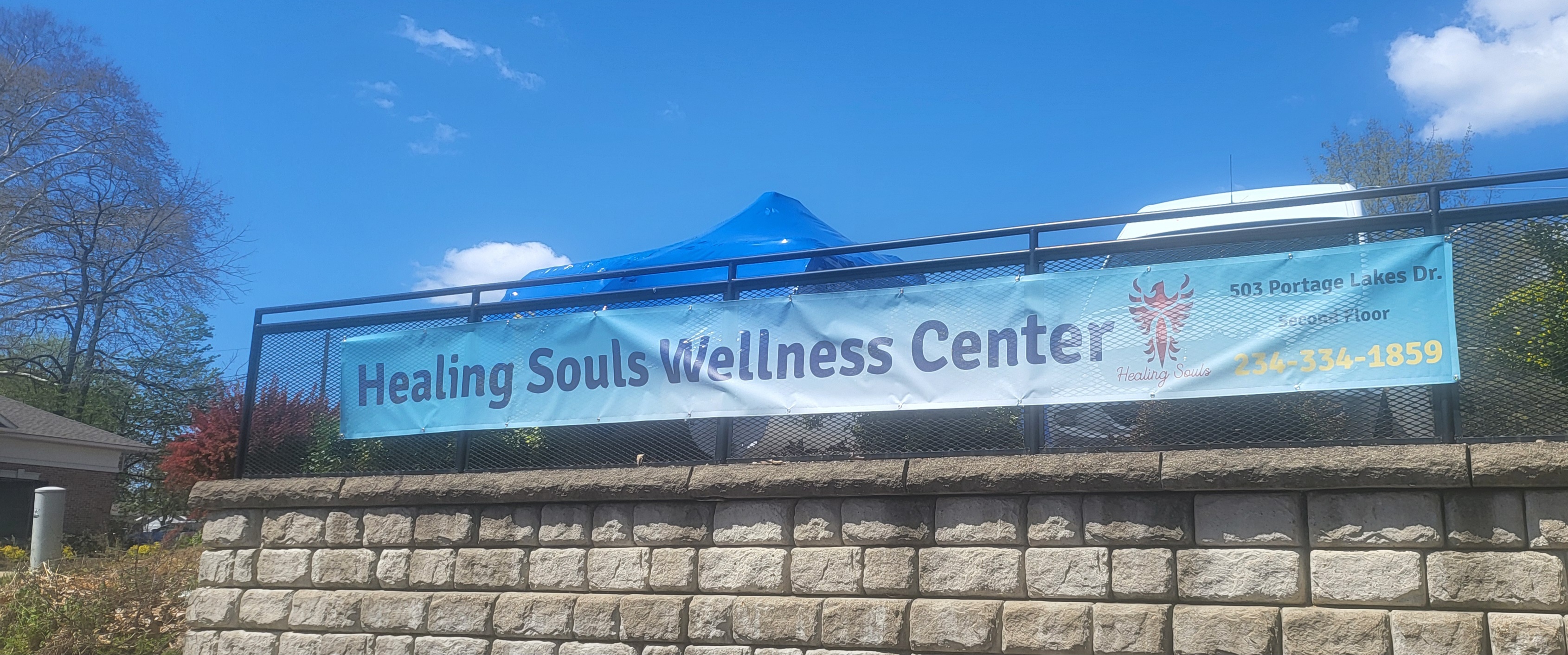 Healing Souls Wellness Center reviews