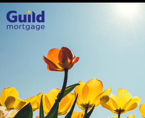 Guild Mortgage - Joe Long reviews
