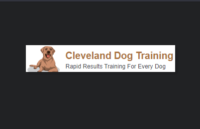 Rapid Results Dog Training reviews