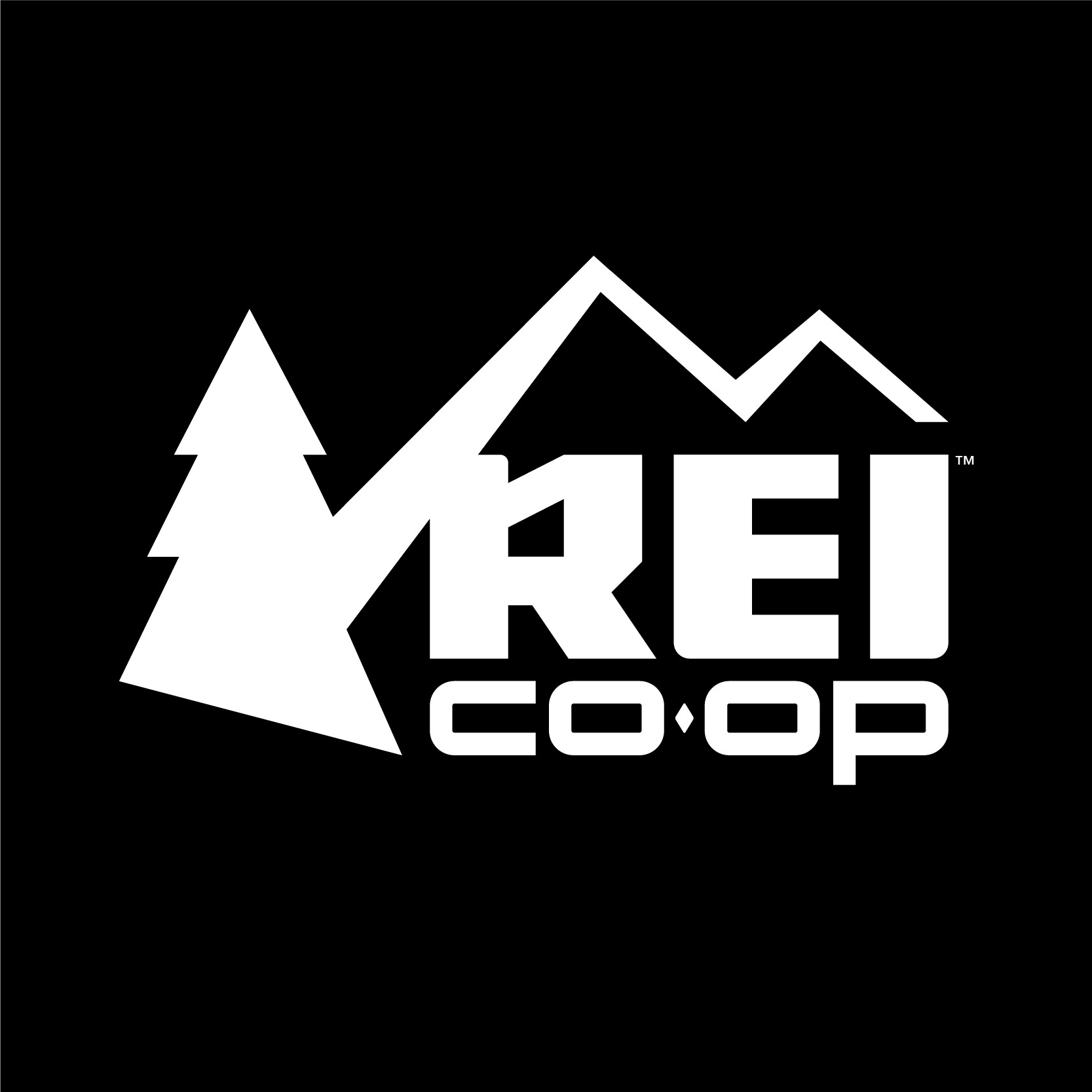 REI Bike Shop reviews