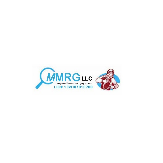 MMRG Mold Remediation & Basement Waterproofing photo