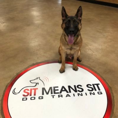 Sit Means Sit Dog Training OKC reviews