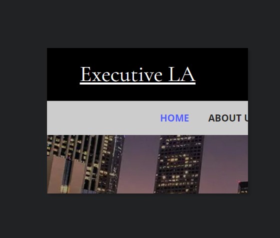 Executive LA Limousine Service reviews
