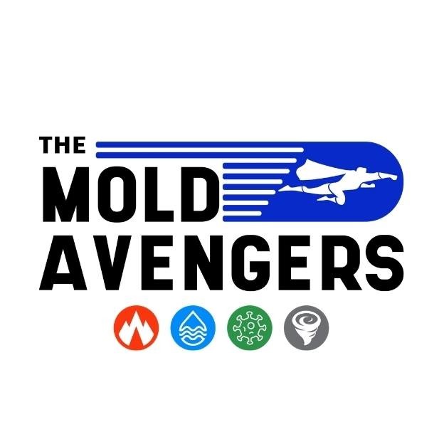The Mold Avengers reviews