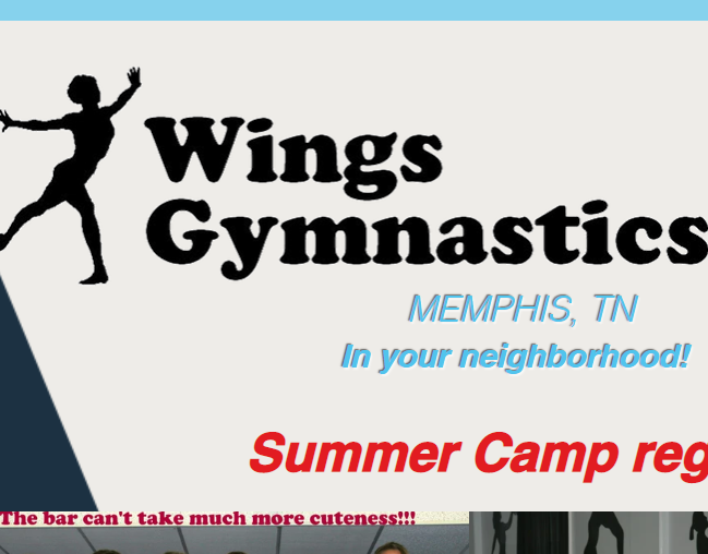 Wings Gymnastics reviews