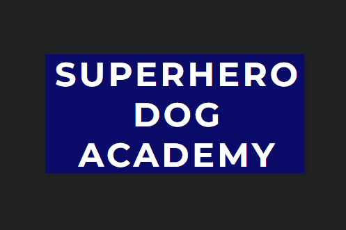 Superhero Dog Academy SLC reviews