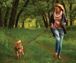 Wagging Tails Animal Care reviews