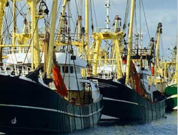 Nicoletti Hornig & Sweeney reviews