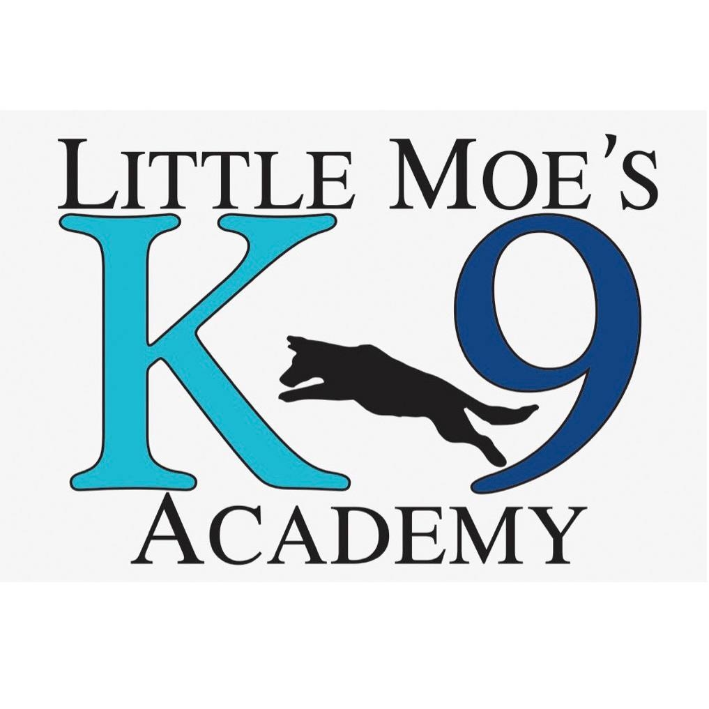 Little Moe's Academy reviews