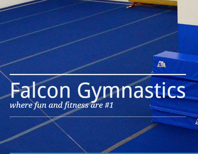 Falcon Gymnastics reviews