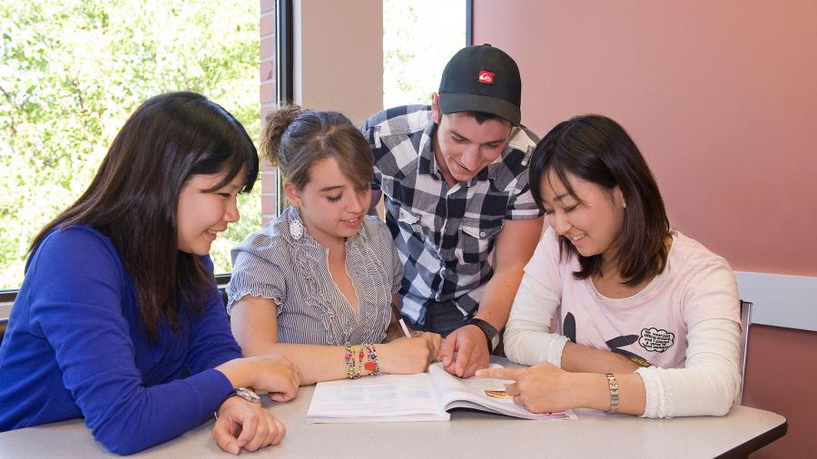 Bacano English Language Program reviews