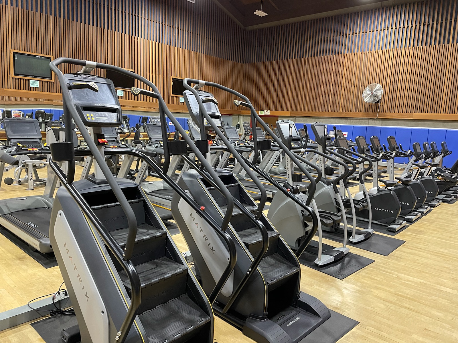 Mobilize Fitness reviews