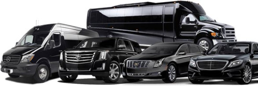 Elite Charter Limousines & Shuttle Services LLC reviews