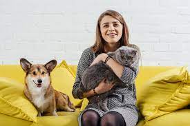 Hyde Bark Dog Walking and Pet Care + Hyde Bark Play Park reviews