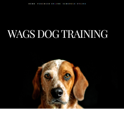 Wags Dog Training reviews