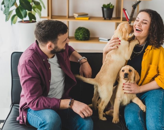Boston's Best Dog Walkers and Pet Services, LLC (main) photo