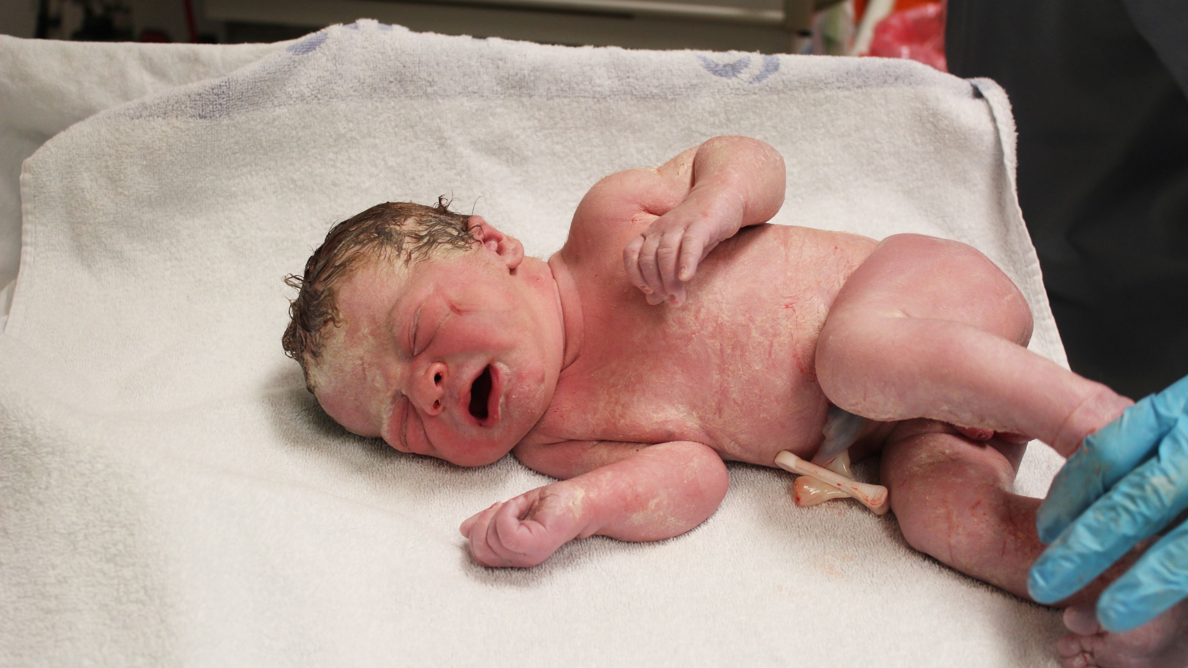 Anderson & Anderson - Tampa Auto Accident Lawyers reviews