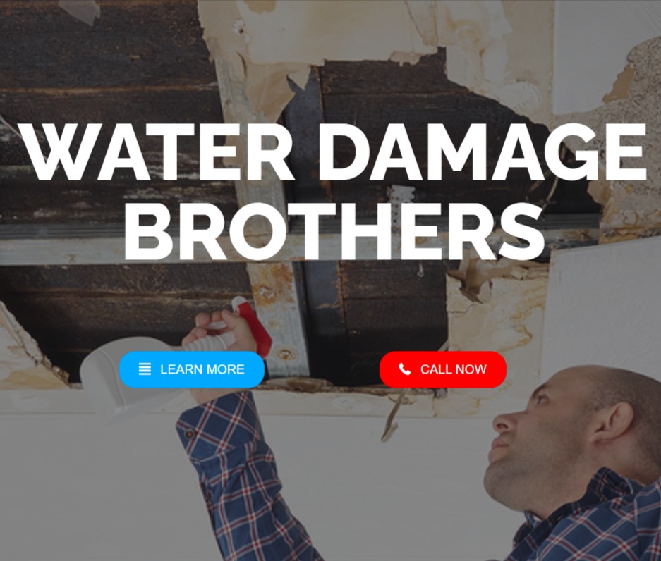 Water Damage Brothers reviews