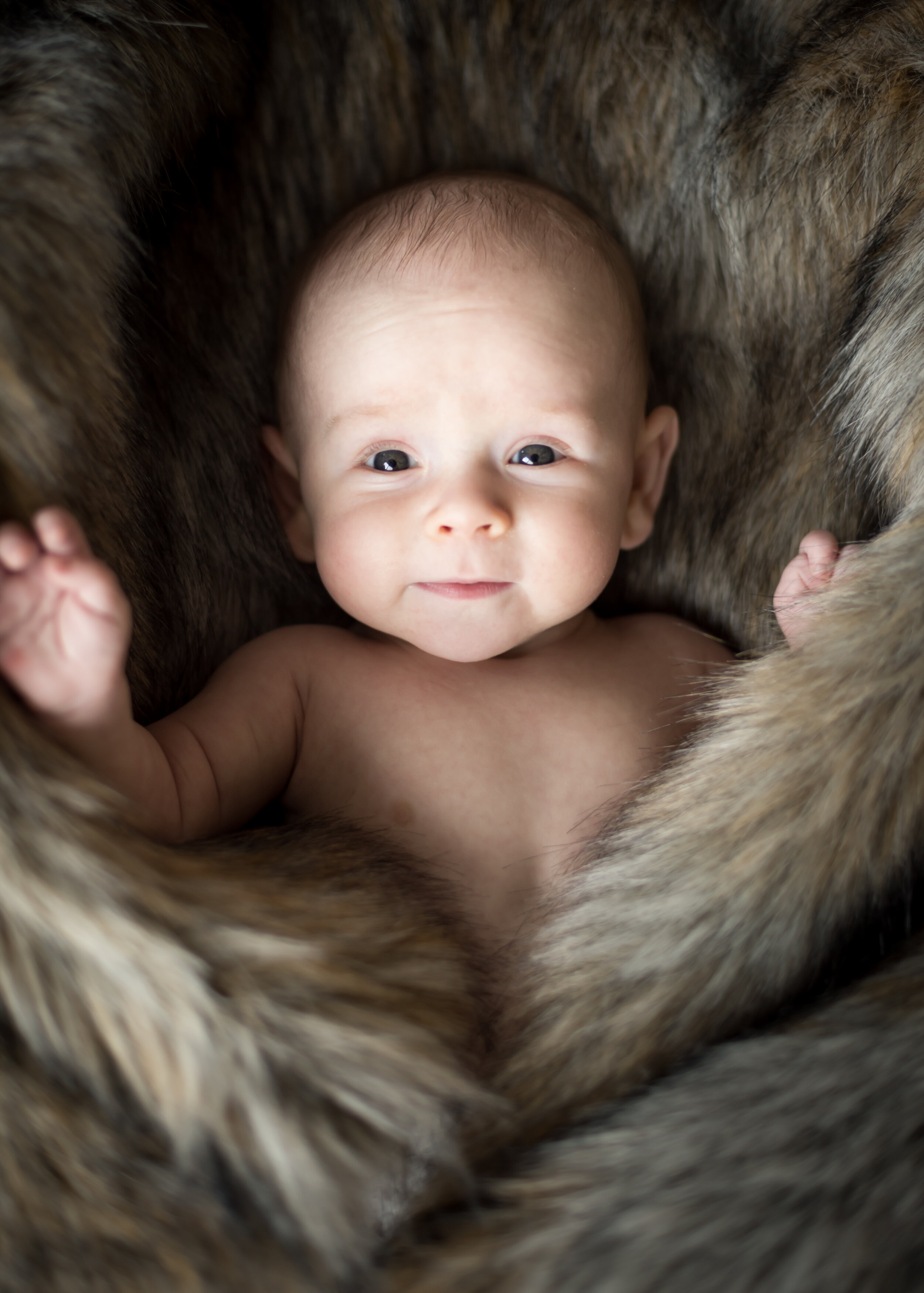 Tracy Christine Photography (by appointment) reviews