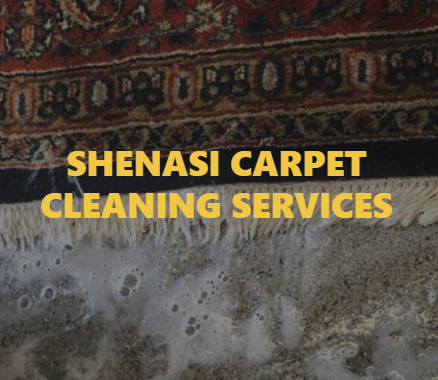 Shenasi Carpet reviews