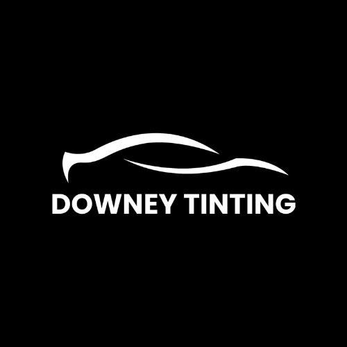 DOWNEY TINTING ⭐️⭐️⭐️⭐️⭐️ photo