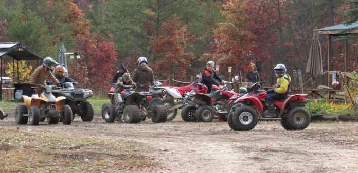 Best Bear Resort photo