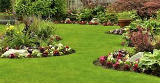 Square Root Garden Design, LLC reviews