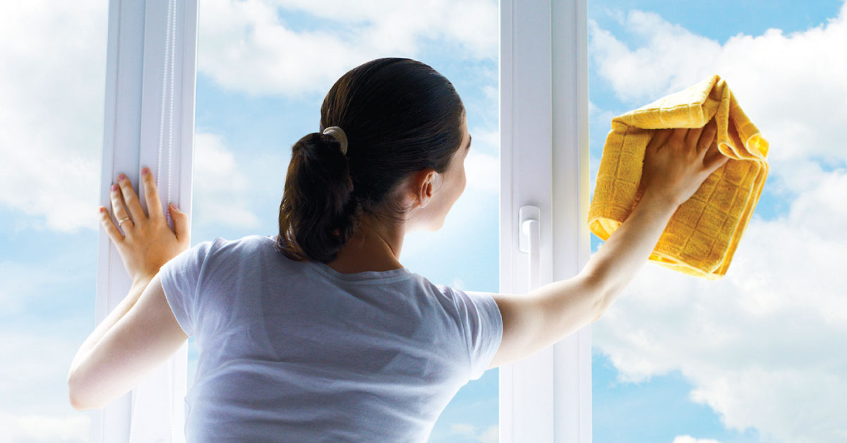 Memphis Clean Windows reviews